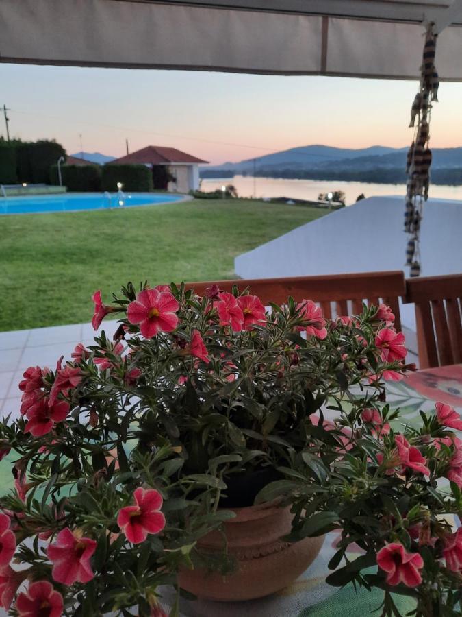 River-Side Villa Vila Nova de Cerveira Extérieur photo